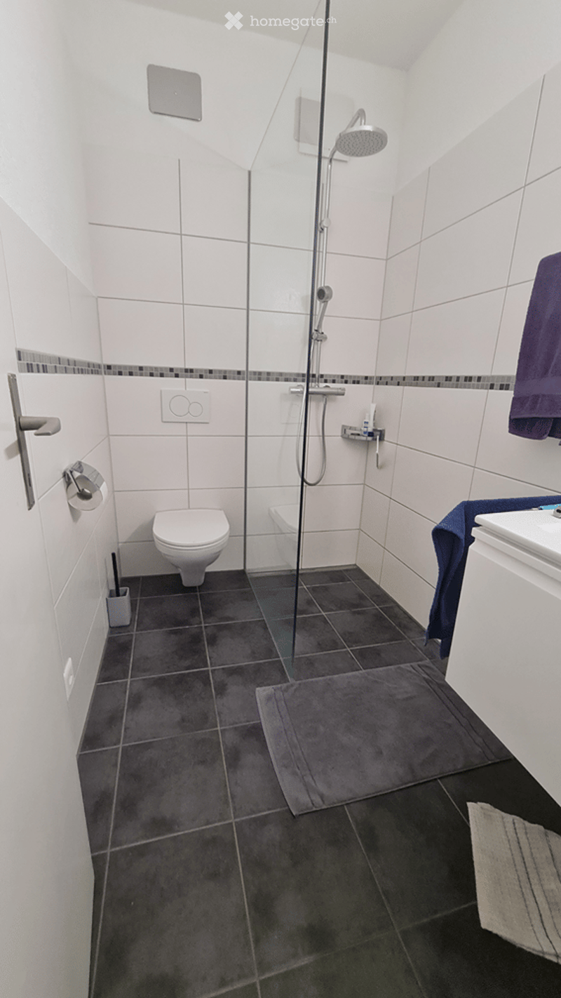 Modern bathroom with white tiled walls, dark tiled floor, glass-enclosed shower, toilet, sink, and towels.