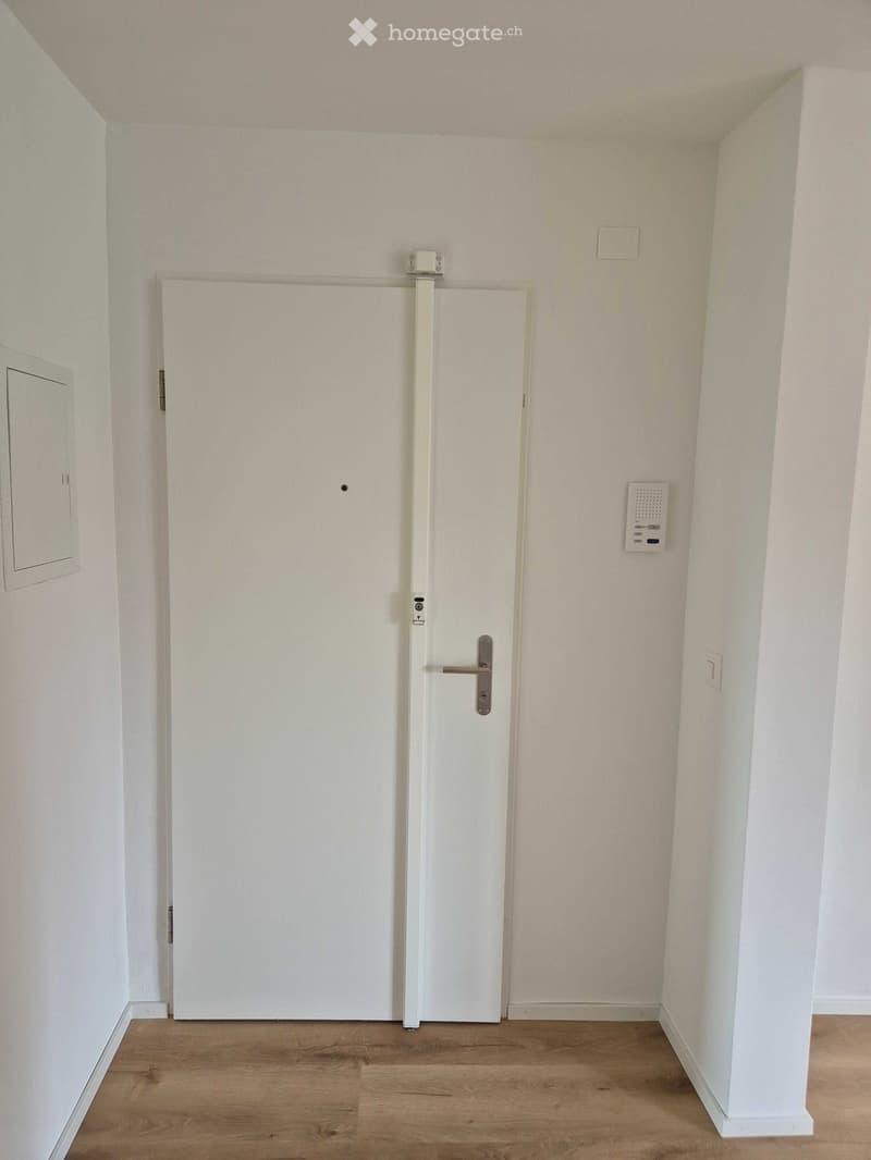 Empty hallway with white walls, wooden floor, and a closed white door.