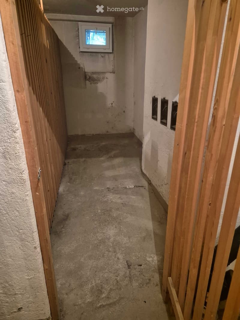 Narrow, unfinished hallway with concrete floor, exposed wooden framing, and a small mounted television on the wall.