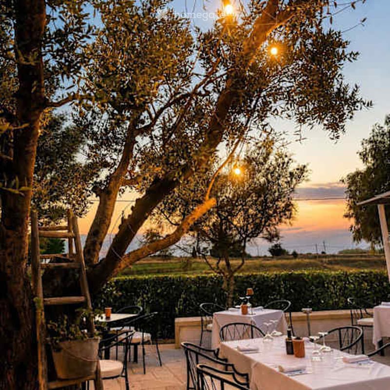 An outdoor dining area with tables and chairs set under trees, overlooking a scenic view of the sea and landscape.