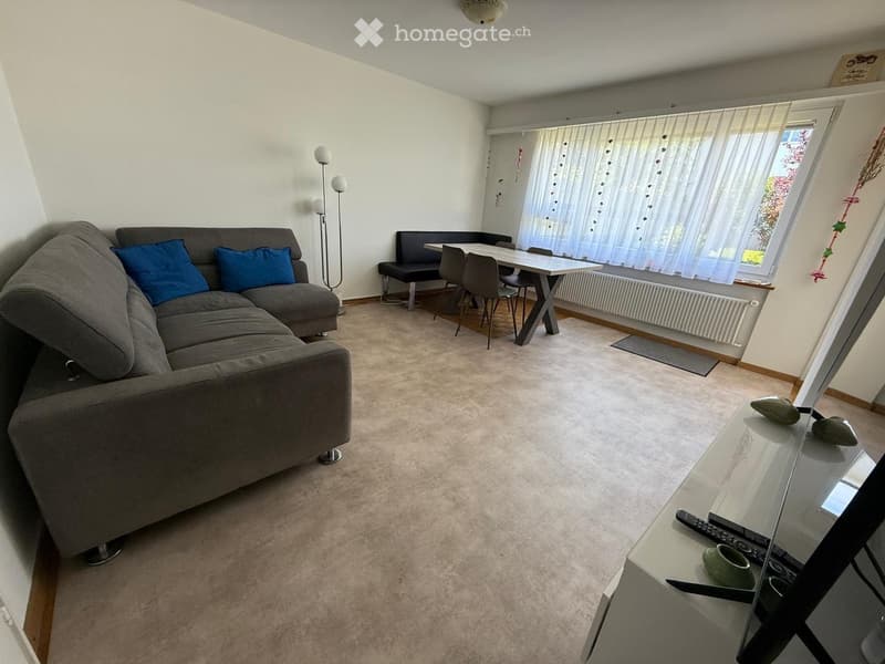 Living room with a grey sectional sofa, dining area with a table and chairs, a TV on a stand, and a table lamp near the sofa.
