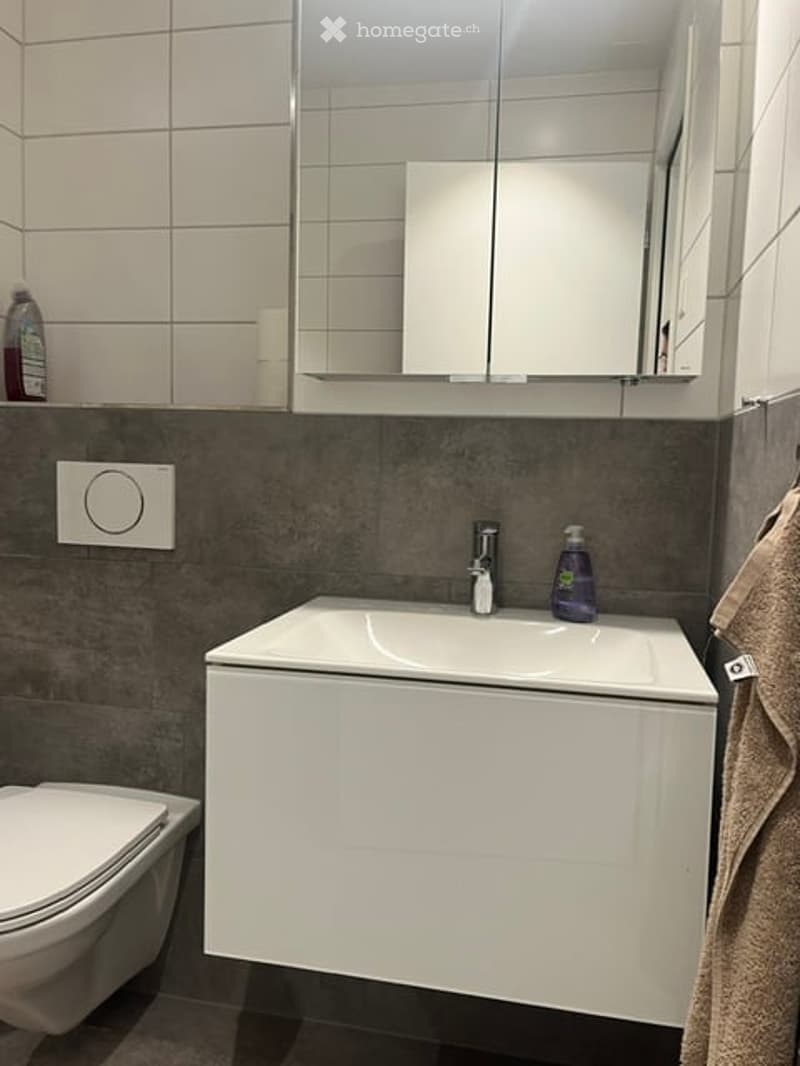 Modern bathroom with white sink, mirror cabinet, toilet, and a bottle on the sink counter.