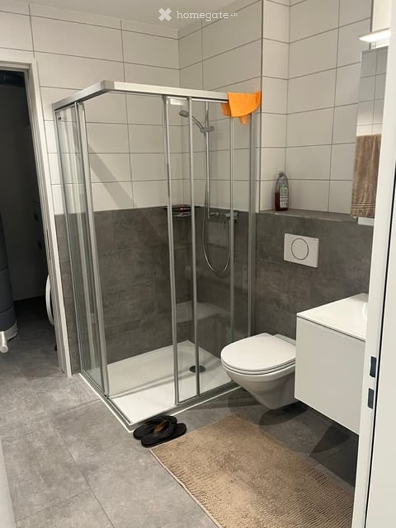 Modern bathroom with a glass-enclosed shower stall, toilet, sink, and a towel hanging on the wall. A small bottle is placed on the sink counter, and a bathmat is on the floor.
