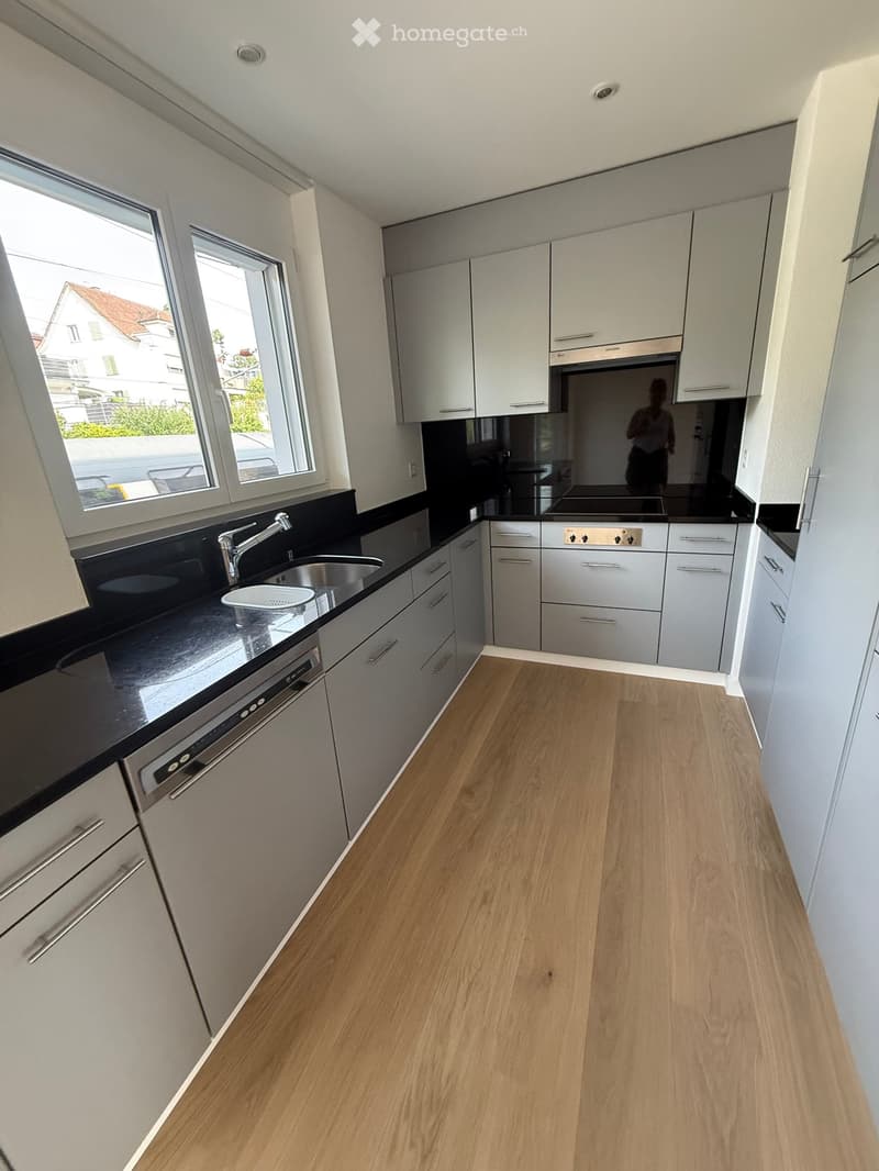 Modern kitchen with light grey cabinets, black countertops, wooden flooring, and stainless steel appliances including a sink, faucet, and dishwasher.