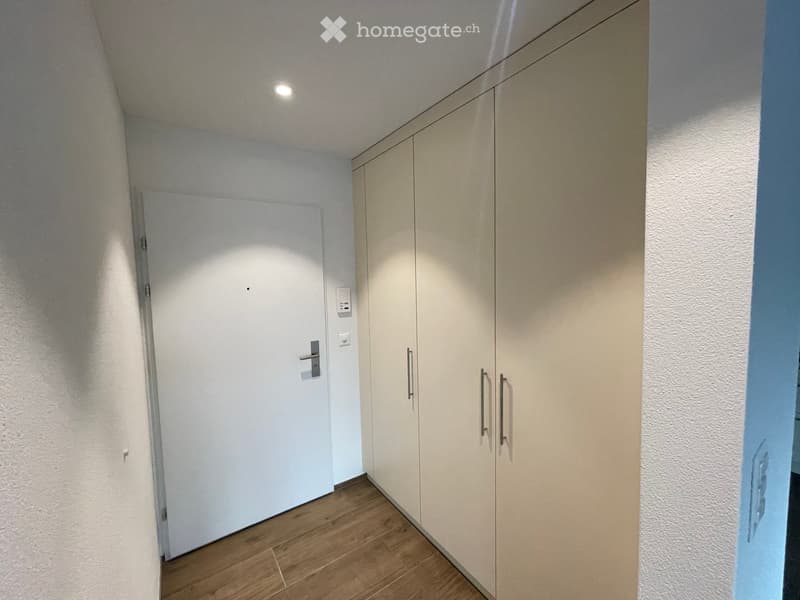 A narrow hallway with wooden flooring, white walls, built-in storage cabinets, and a closed door at the end.