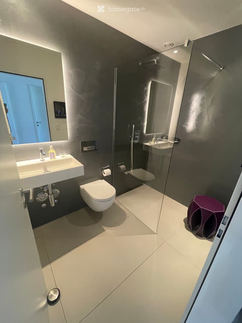 Modern bathroom with dark grey walls, white tiles, a sink, toilet, shower, and a purple decorative object.