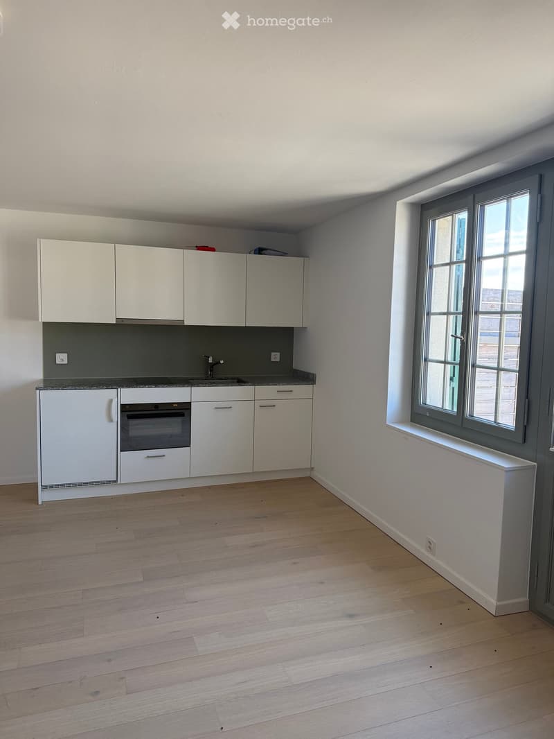 Modern kitchen with white cabinets, a built-in oven, and a sink, featuring light wooden flooring and large windows.