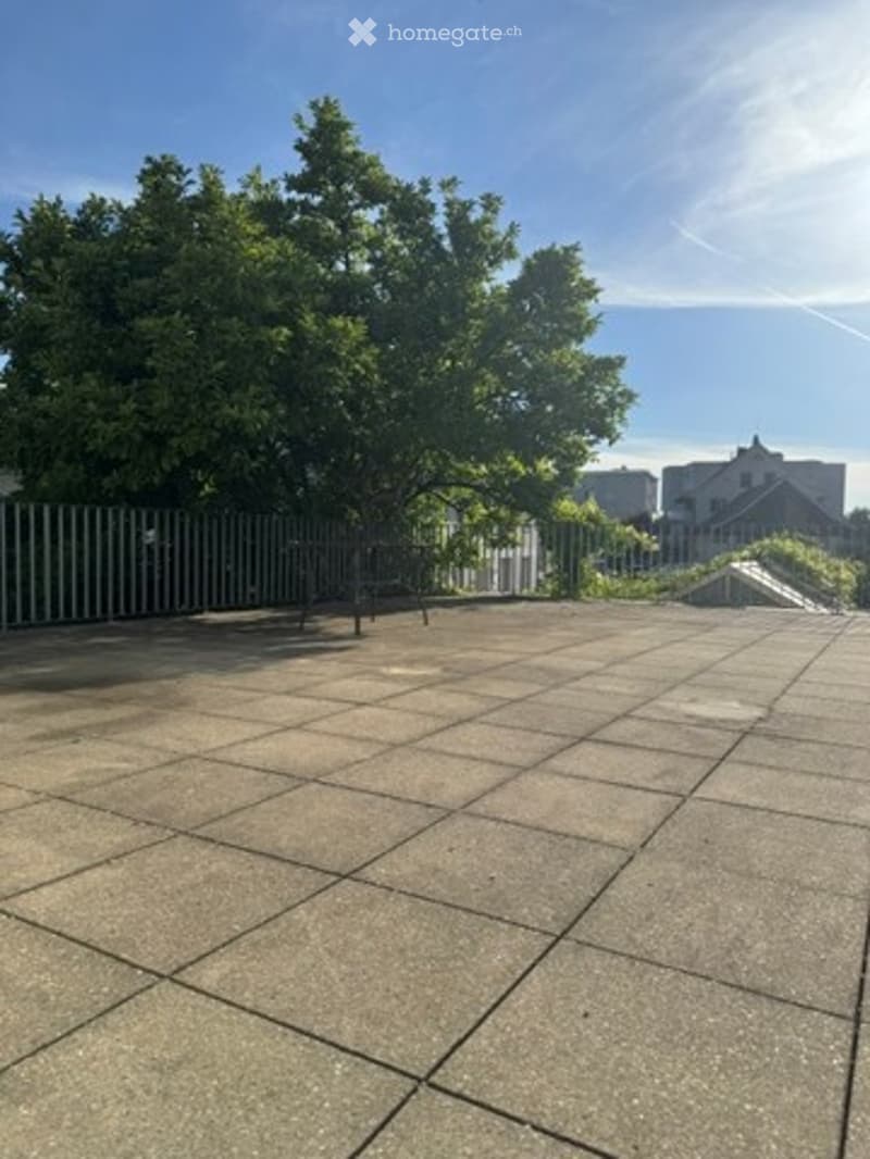 An outdoor patio area with concrete tiles, surrounded by a metal fence, with trees and buildings visible in the background.