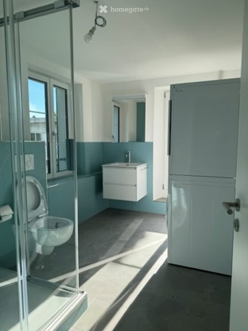 Modern bathroom with a toilet, sink, and mirror. The space features light blue walls, a glass shower enclosure, and a grey door.