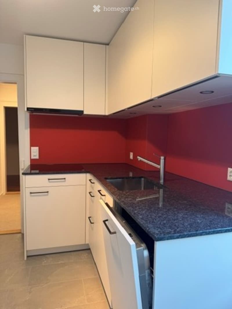 Modern kitchen with white cabinets, dark countertop, and a red accent wall. Features a sink with a modern faucet and built-in storage.