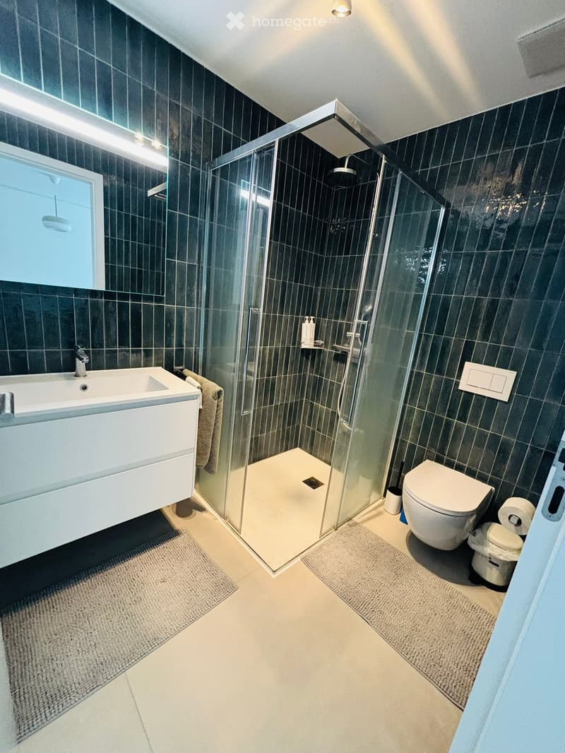 Modern bathroom with dark tiled walls, a white sink with a chrome faucet, a large mirror, a glass-enclosed shower, and a toilet. The floor is light-colored with two small rugs.