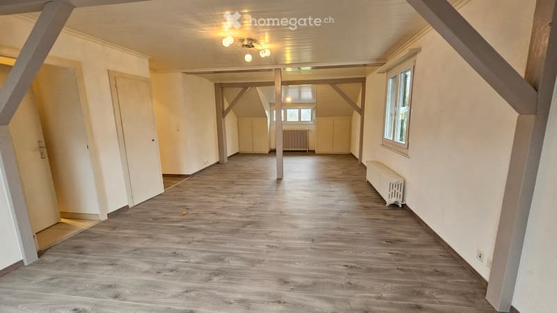 large room, wooden flooring, white walls, multiple doors, windows, radiators, central lighting