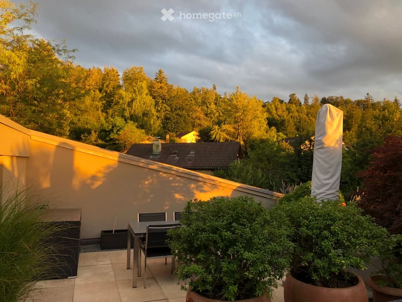 A modern outdoor patio with a table and chairs, surrounded by large potted plants and a tall umbrella, overlooking a lush green landscape with trees and a house in the background.