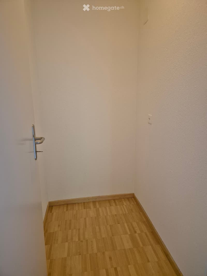 Empty hallway with light wooden flooring and white walls, featuring a door handle and an electrical outlet.