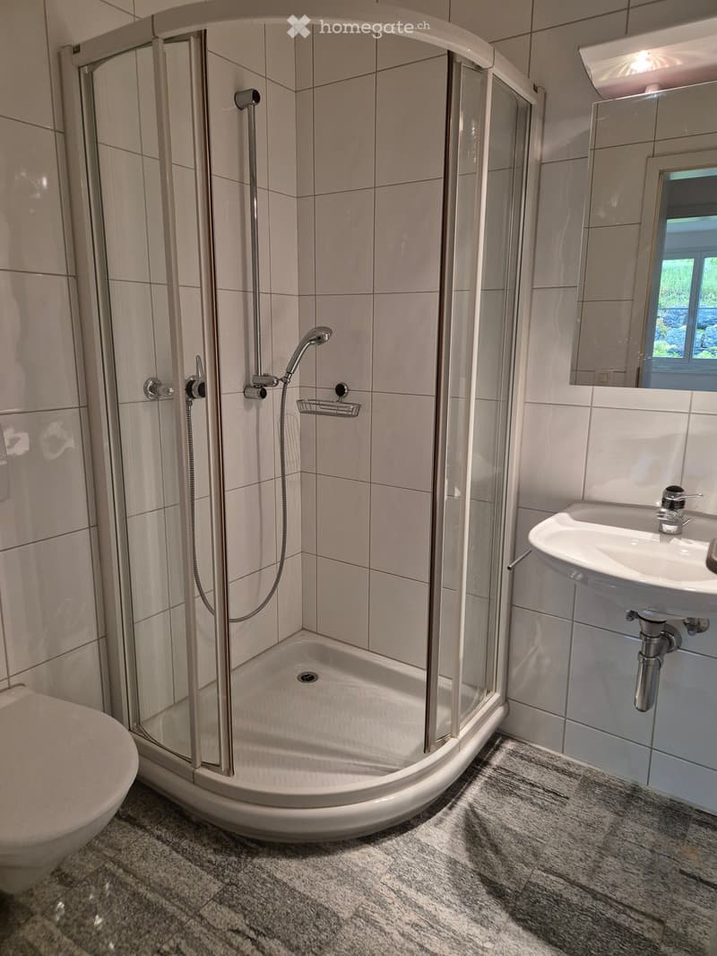 Modern bathroom with a corner shower, toilet, sink, and mirror. The shower has a glass enclosure and a handheld showerhead. The sink is mounted on a vanity with a chrome faucet.