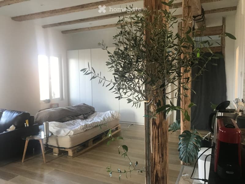 A modern, open-concept living and sleeping area with a wooden floor, exposed wooden beams, a large olive tree in a pot, a black leather sofa, a platform bed, a glass coffee table, and a red coffee maker on a small table.