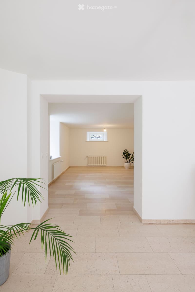 Empty hallway with white walls, light wooden flooring, and a potted plant in the foreground. The hallway leads to another room with a window, radiator, and additional potted plant.