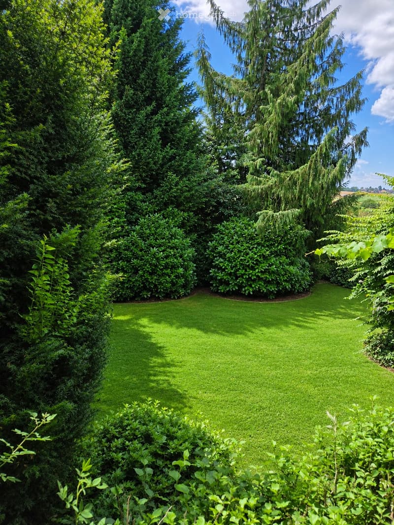 A well-maintained garden with a central lawn surrounded by tall trees and dense shrubs, creating a serene and private outdoor space.