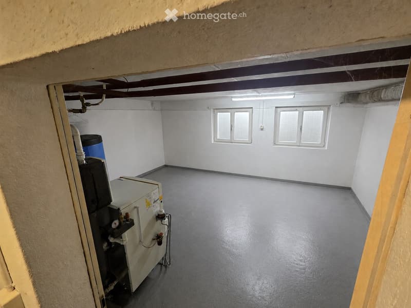 Empty room with white walls, grey floor, two windows, and heating equipment in the corner.
