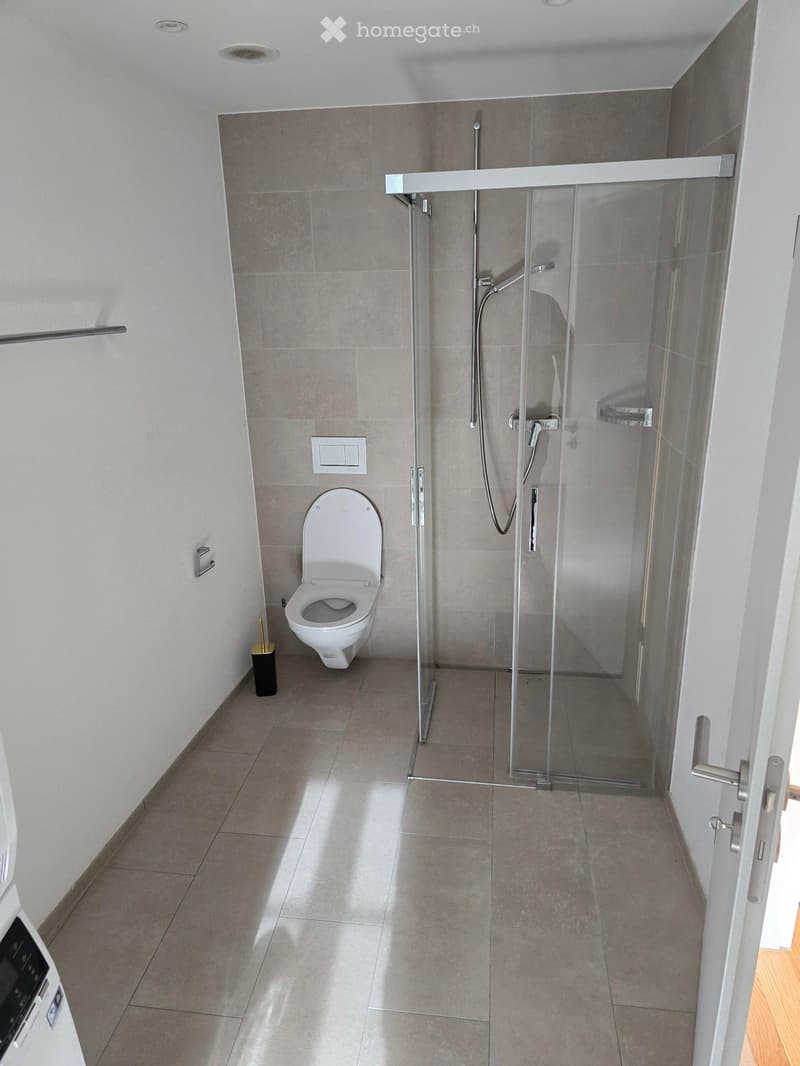 Modern bathroom with a toilet, glass-enclosed shower, and tiled walls and floor.