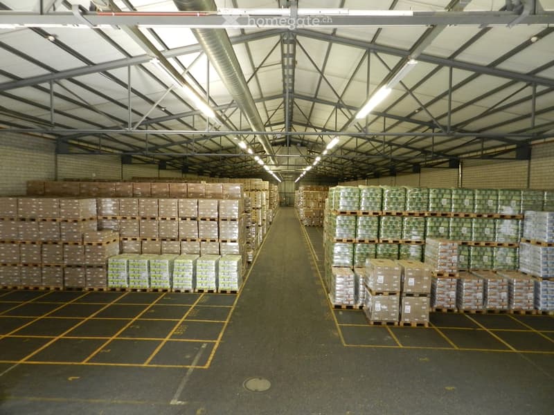 Large industrial warehouse with high ceilings, metal beams, and rows of stacked pallets and boxes on the floor.