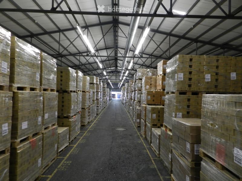 Warehouse interior with high ceilings, metal beams, and rows of stacked cardboard boxes on pallets.