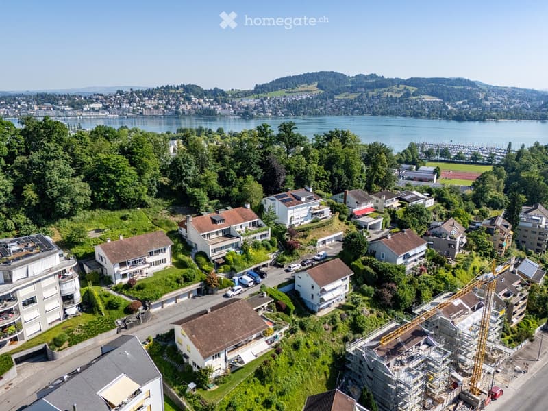 Aerial view of a suburban neighborhood with multiple houses, green spaces, and a lake in the background.