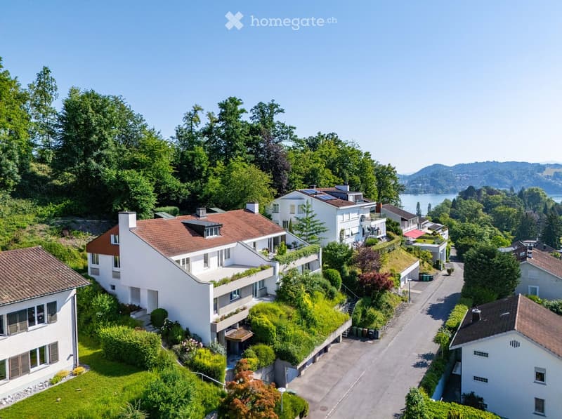 Aerial view of a residential area with multiple modern houses, surrounded by lush greenery and a scenic lake in the background.
