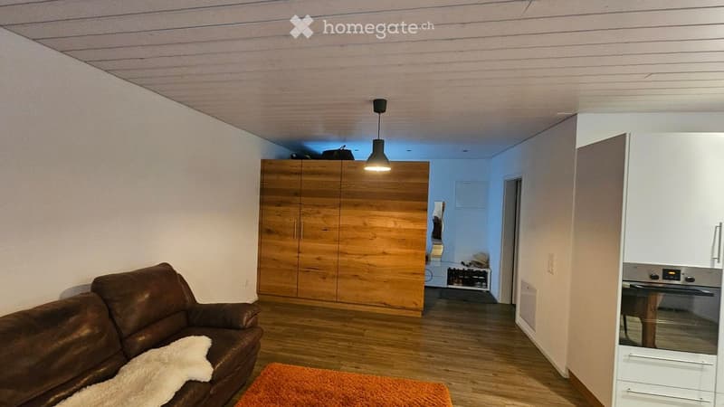 Living room with a brown leather sofa, white throw, orange rug, wooden wardrobe, and a modern oven in the background.
