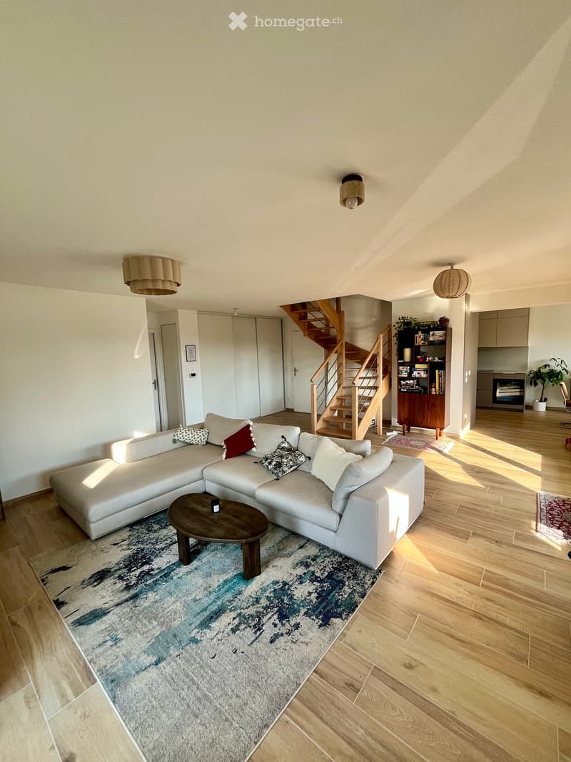 Duplex 5 pièces neuf avec 2 terrasses - aux portes de Genève (Mon Idée) (3)