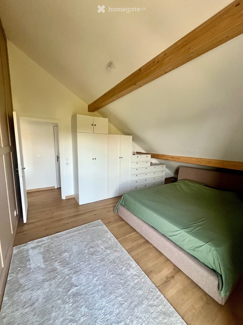 Duplex 5 pièces neuf avec 2 terrasses - aux portes de Genève (Mon Idée) (11)