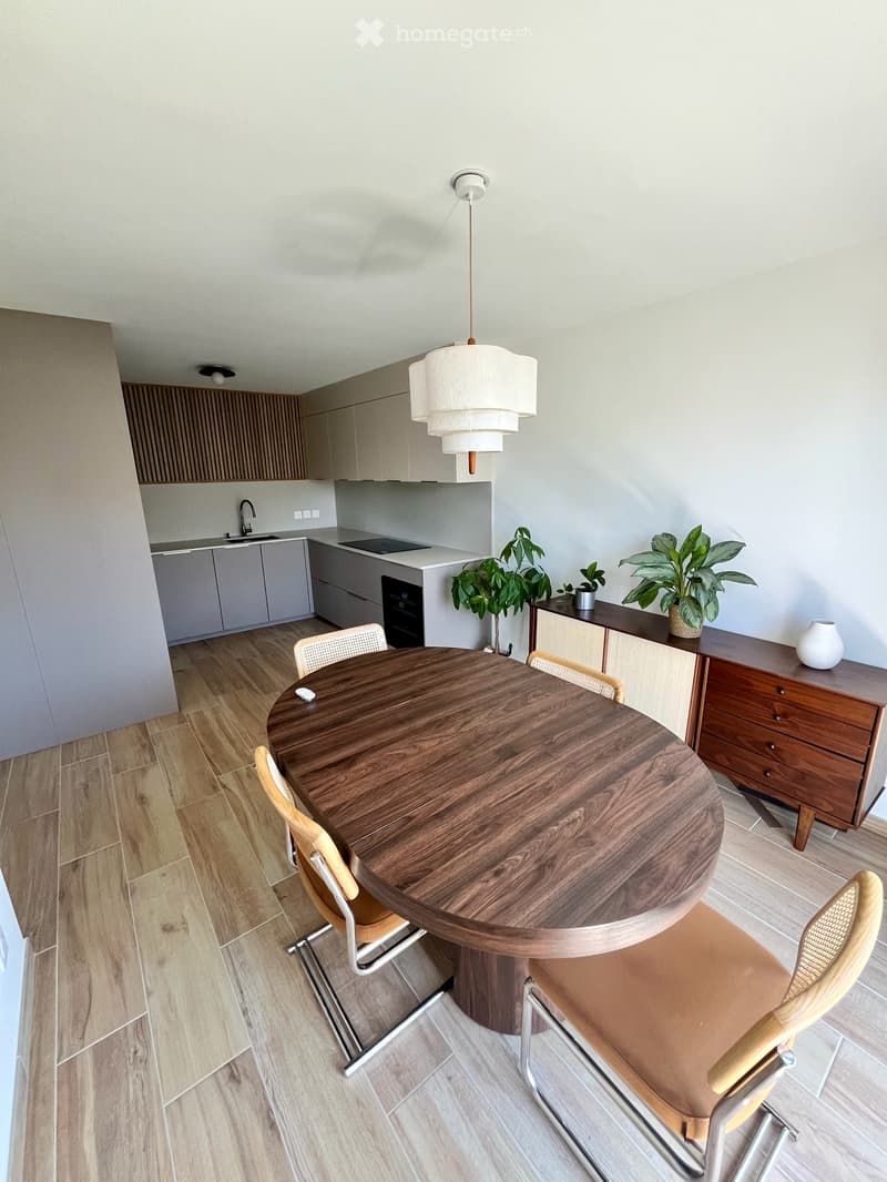 Duplex 5 pièces neuf avec 2 terrasses à Ambilly (Mon-Idée) (3)