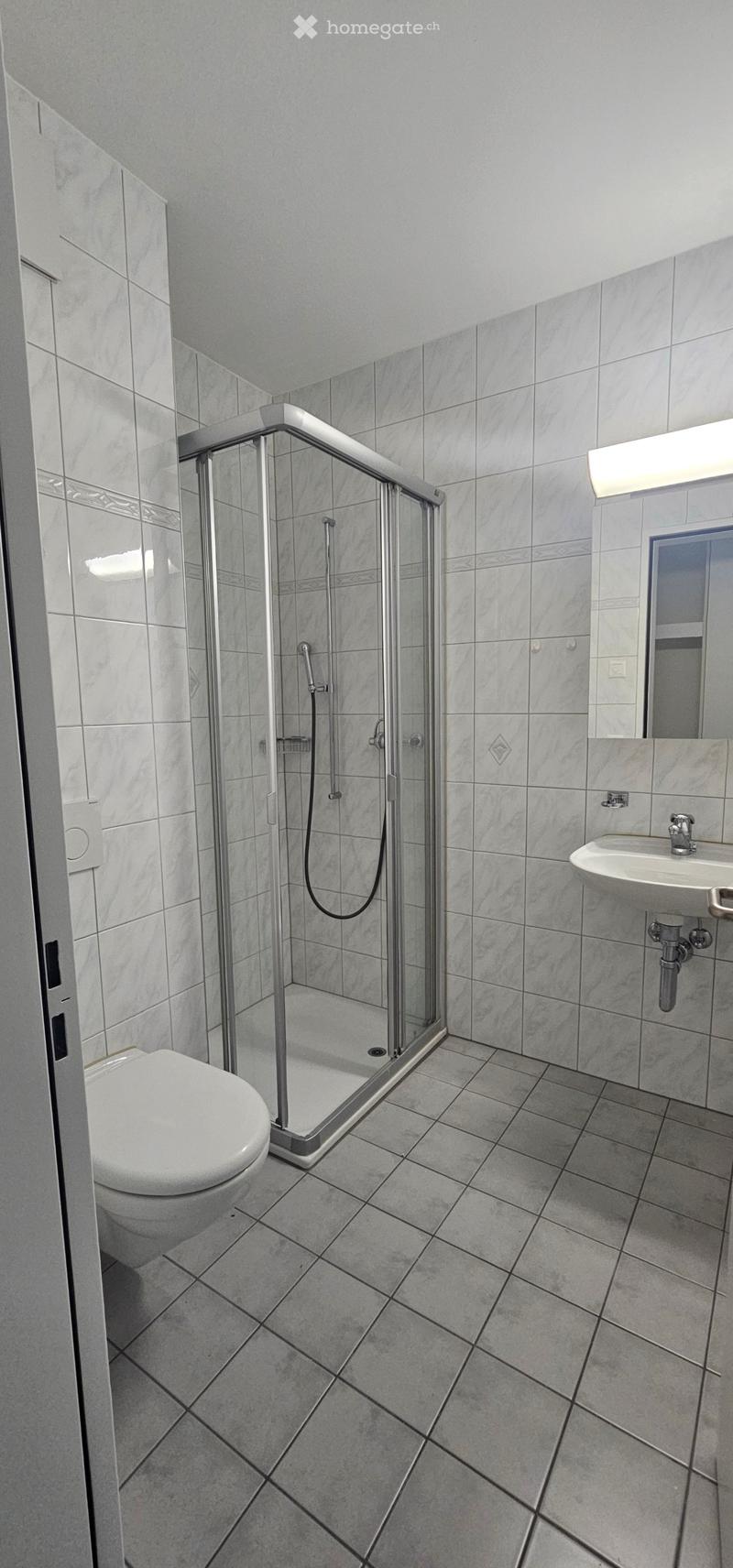 Modern bathroom with grey tiled walls and floor, featuring a walk-in shower with glass enclosure, a toilet, a sink with mirror, and a built-in light fixture above the mirror.