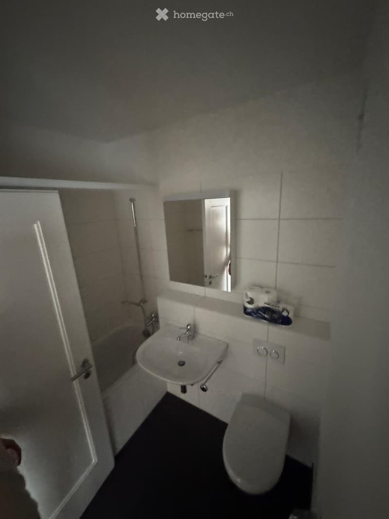 Small bathroom with a sink, mirror, toilet, and toilet paper on a shelf.