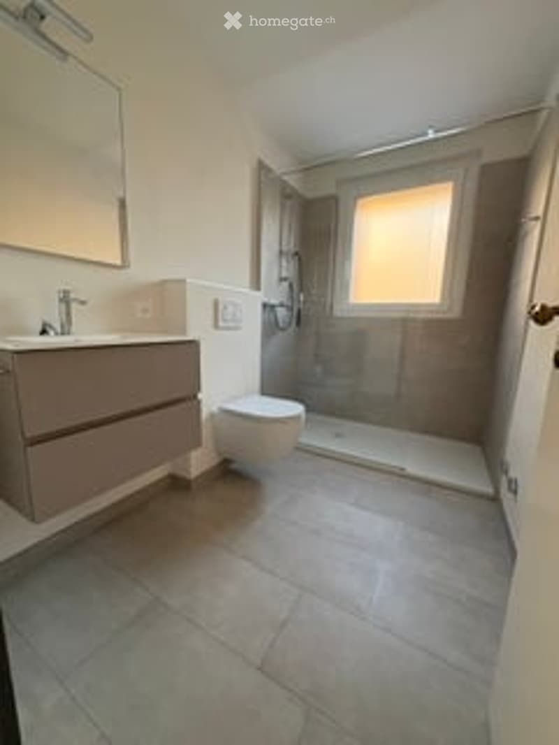 Modern bathroom with a large mirror, sink, toilet, and walk-in shower with a glass door.