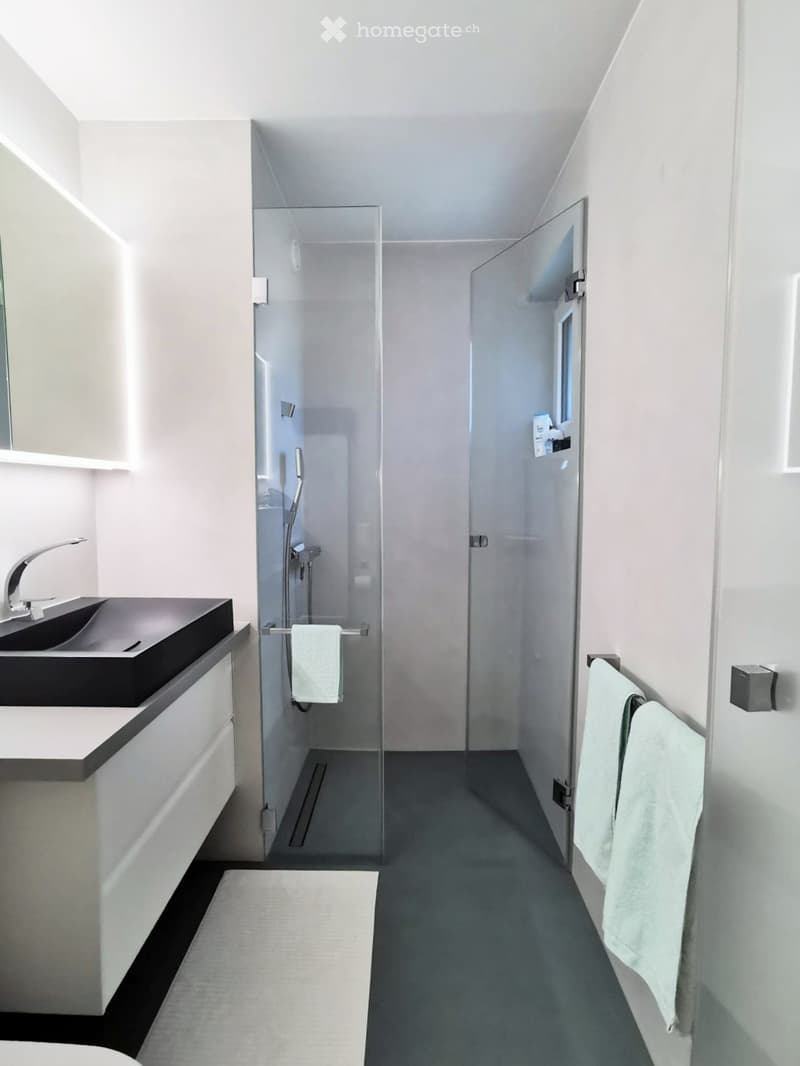 Modern bathroom with a sleek black sink, chrome faucet, large mirror, glass-enclosed shower, and neatly hung towels.