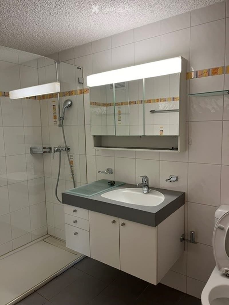 Modern bathroom with white tiles, a sink with a mirror cabinet, a shower area, and a toilet.