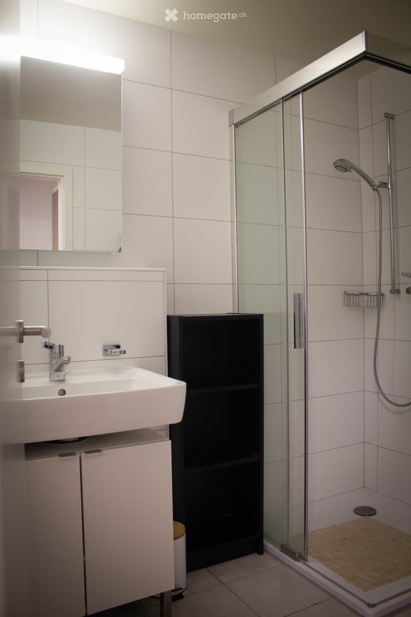 Modern bathroom with a white sink, mirror, and a glass-enclosed shower with a handheld showerhead. The walls are tiled in light gray, and the floor is tiled in beige.