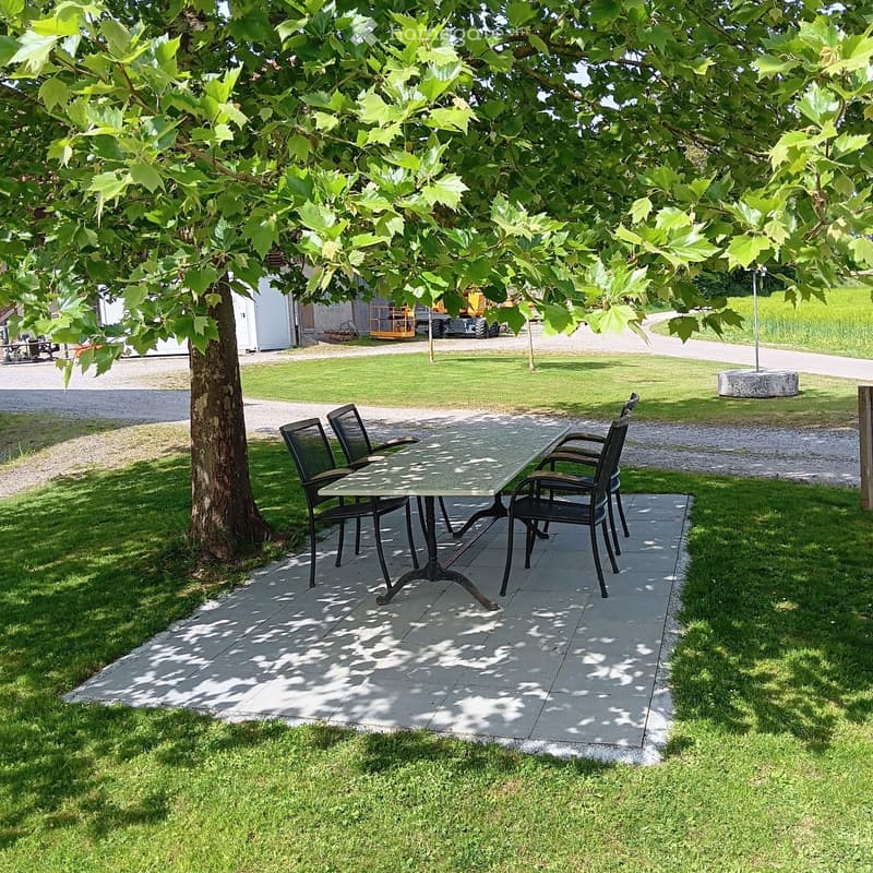 Outdoor seating area with a table and four chairs under a large tree, surrounded by grass and gravel paths.