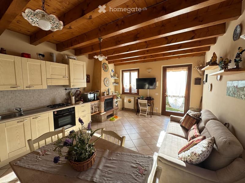 Open-plan living and dining area with a sofa, dining table, fireplace, and kitchen area with cabinets, sink, and appliances.