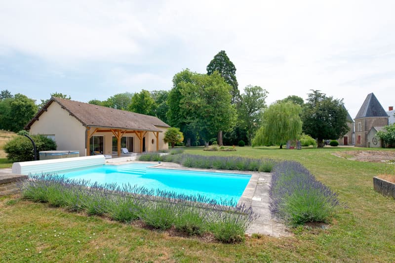 A serene garden area with a swimming pool surrounded by lavender bushes, a wooden deck, lounge chairs, and a small house in the background.
