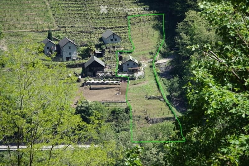 Aerial view of a rural property with multiple houses, surrounded by lush greenery and terraced fields.