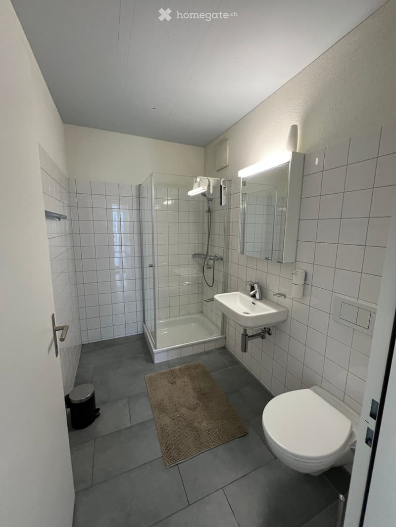 Modern bathroom with white tiles, a glass-enclosed shower, a sink, a toilet, a mirror, and a small bathroom rug.