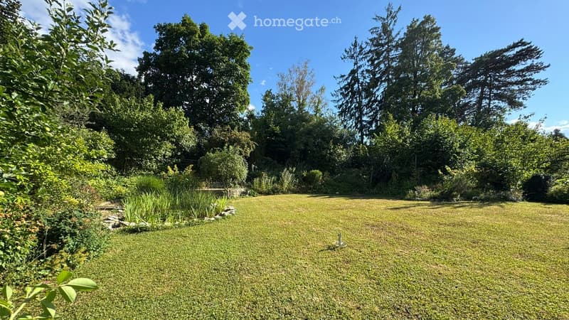 Well-maintained garden with a lush green lawn, surrounded by tall trees and shrubs, creating a serene and private outdoor space.