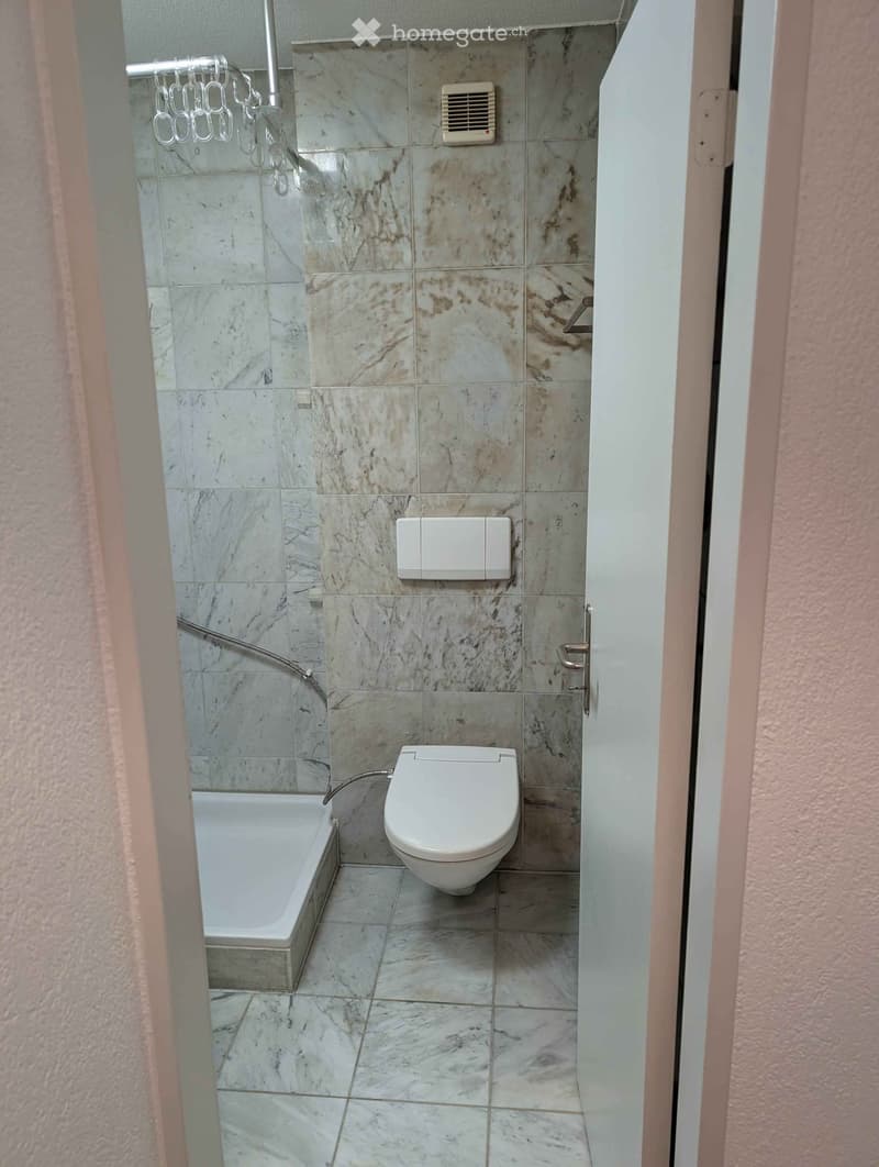 Modern bathroom with marble tiles, a bathtub, a toilet, and a showerhead with a handheld sprayer.