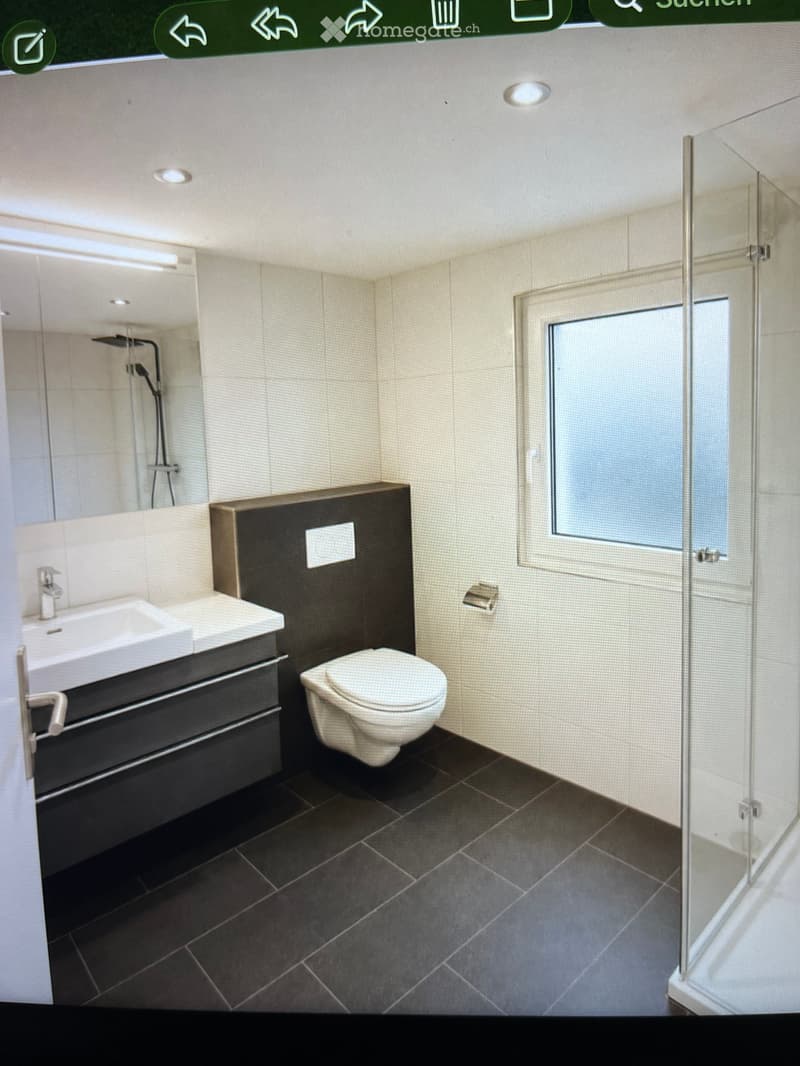 Modern bathroom with a white sink, toilet, and glass-enclosed shower. Features dark tiles on the floor and light-colored walls.