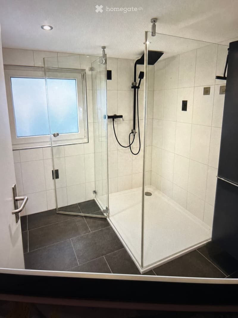 Modern bathroom with a glass-enclosed shower stall, dark tiled floor, and white tiled walls. Features a handheld showerhead and a fixed showerhead, with a window providing natural light.