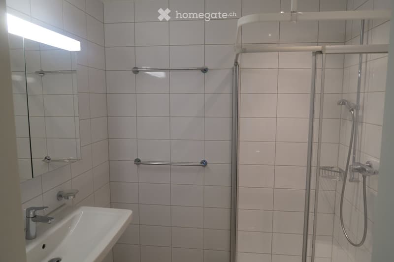 Modern bathroom with white tiled walls, a sink with a chrome faucet, a mirror, and a walk-in shower with a glass enclosure and a handheld showerhead.