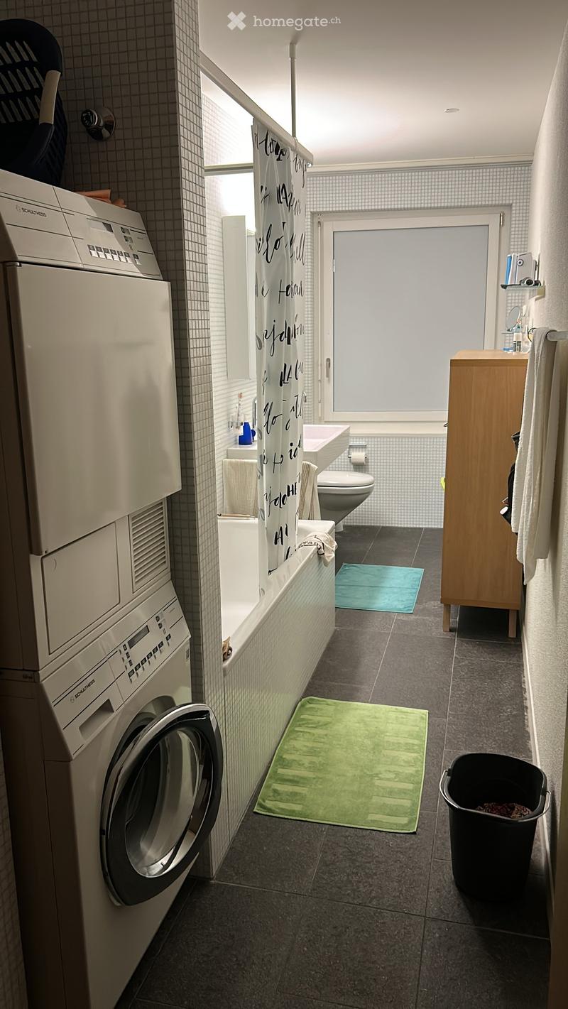 Modern bathroom with a washing machine, bathroom cabinet, sink, toilet, bathtub, shower curtain, and rugs.