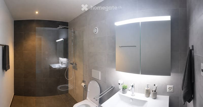 Modern bathroom with grey tiles, a large mirror with built-in lighting, a toilet, a sink with a modern faucet, a shower area with a glass enclosure, and a towel hanging on the wall.